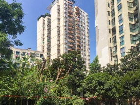 正升青青麗苑——外墻保溫砂漿、涂料