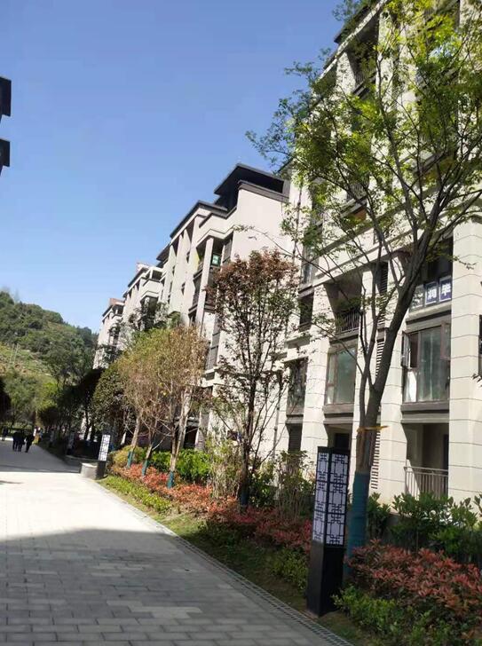 1628493975298379.jpg QQ截圖20210809152605.jpg